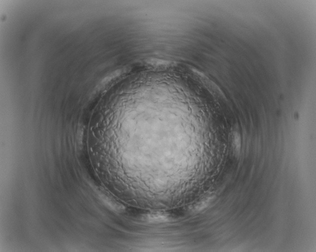 X0000084020668200703022058