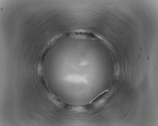 X0000084020669200703022058