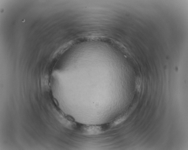 X0000084020670200703022058