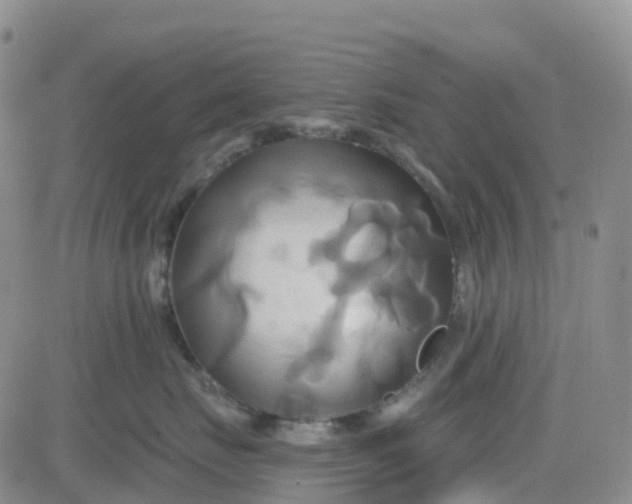 X0000084020671200703022058