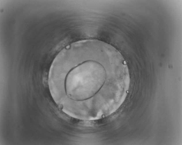 X0000084020672200703022058