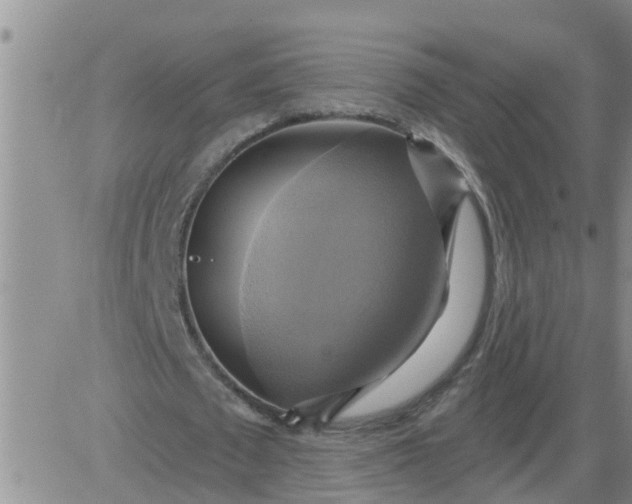 X0000084020673200703022057