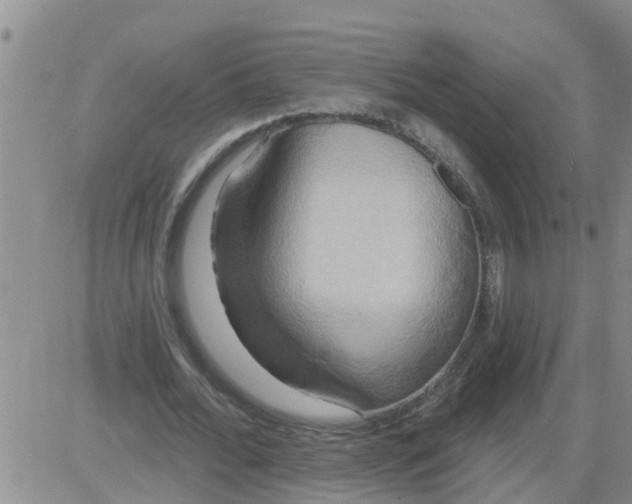 X0000084020676200703022057