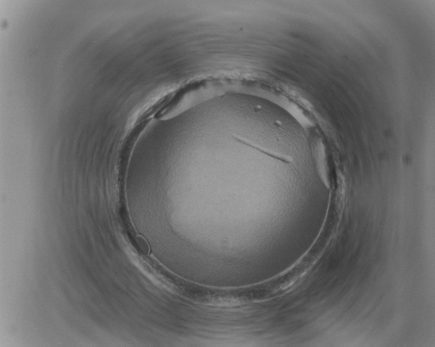 X0000084020677200703022057