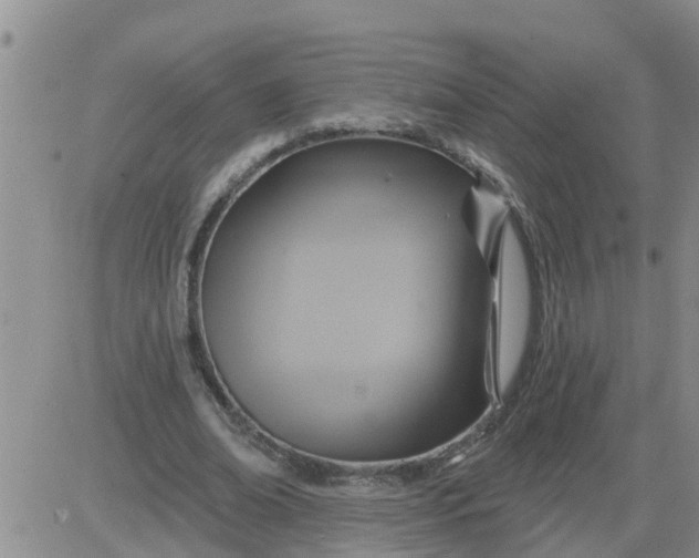 X0000084020678200703022057