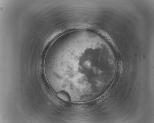 X0000084020679200703022057