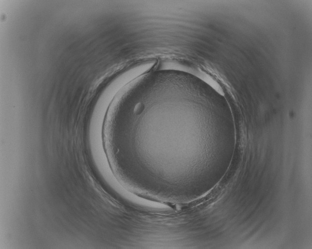 X0000084020681200703022057