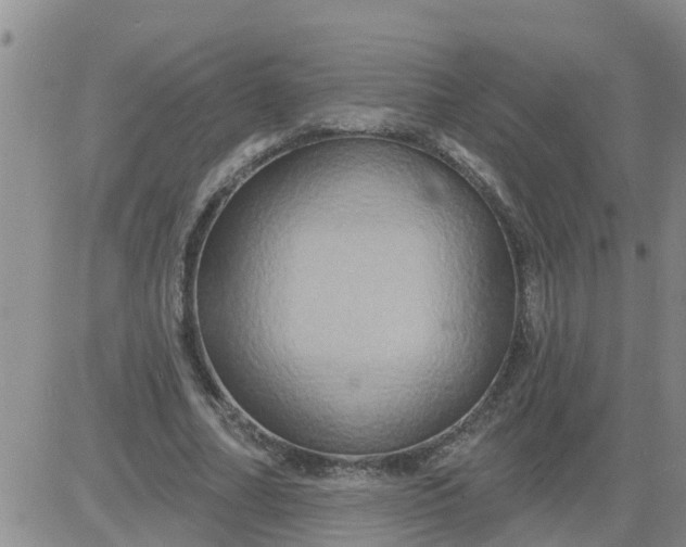 X0000084020682200703022057