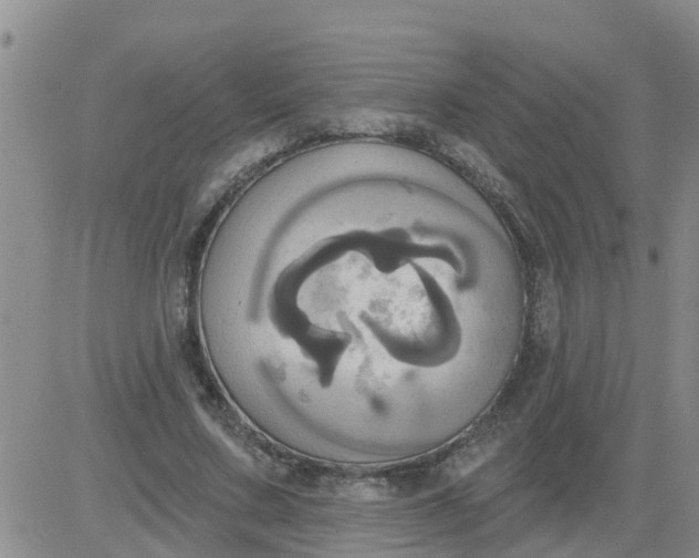 X0000084020683200703022057