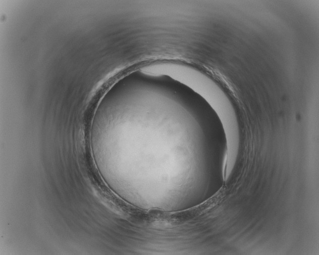 X0000084020684200703022057