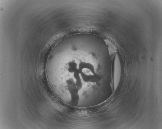 X0000084020687200703022057