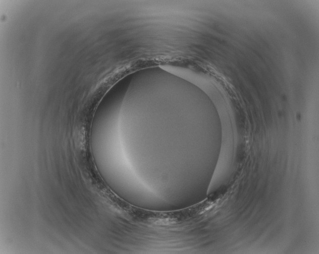 X0000084020689200703022057