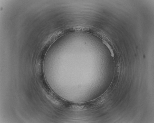 X0000084020690200703022057