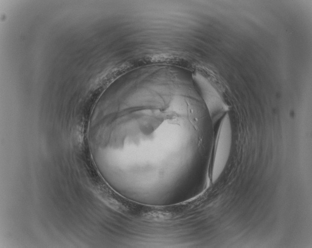 X0000084020691200703022057