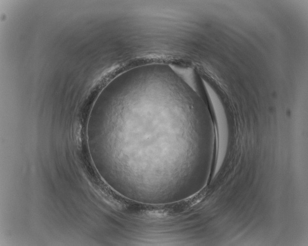 X0000084020692200703022057