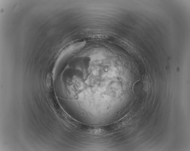 X0000084020695200703022057