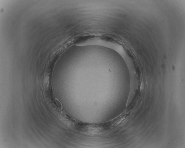 X0000084020697200703022057