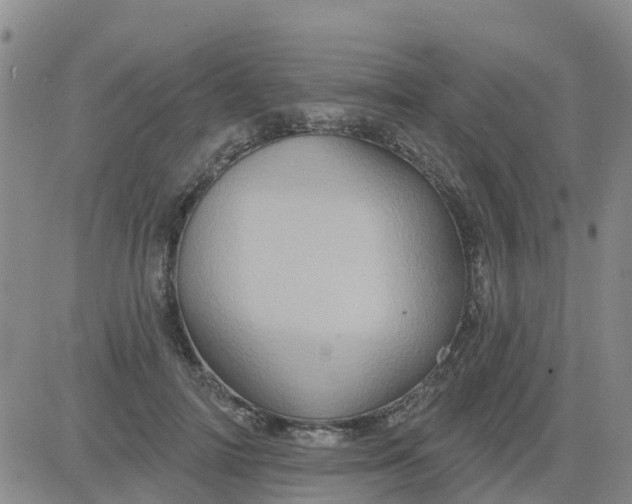 X0000084020698200703022057