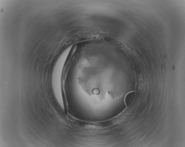 X0000084020699200703022057