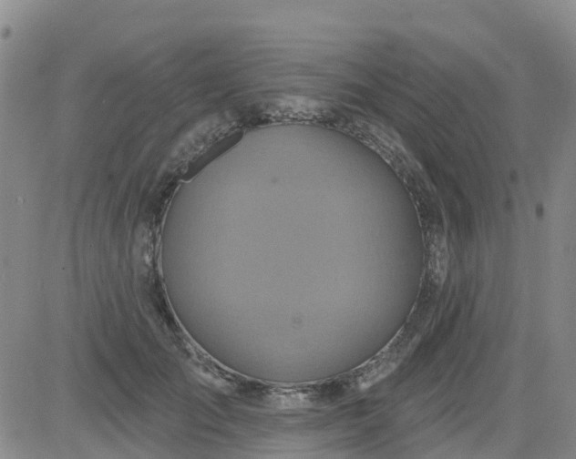 X0000084020701200703022057