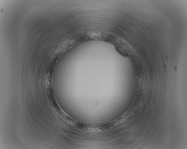 X0000084020702200703022057