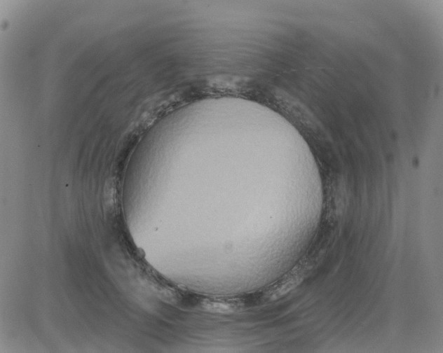 X0000084020706200703022057