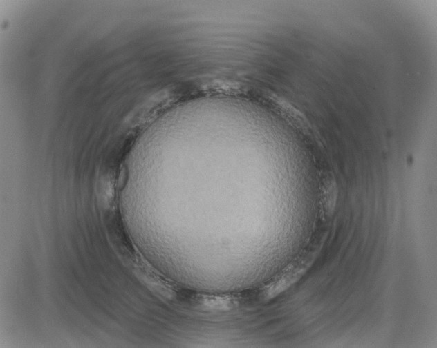 X0000084020709200703022057