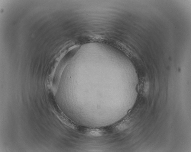 X0000084020710200703022057