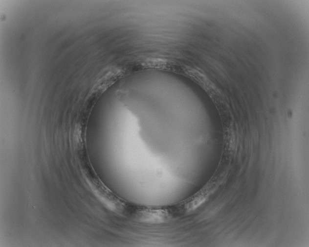 X0000084020711200703022057