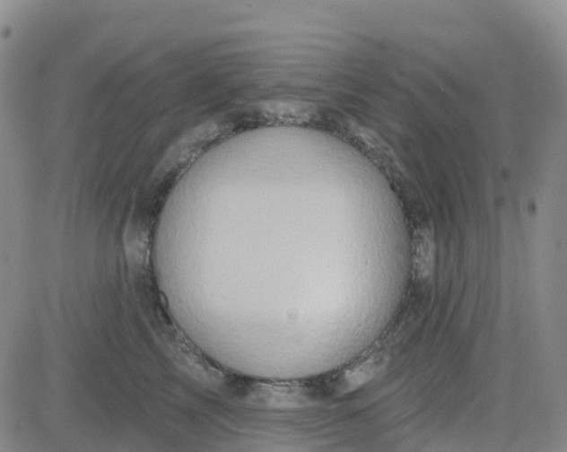 X0000084020713200703022057