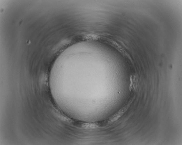 X0000084020714200703022057