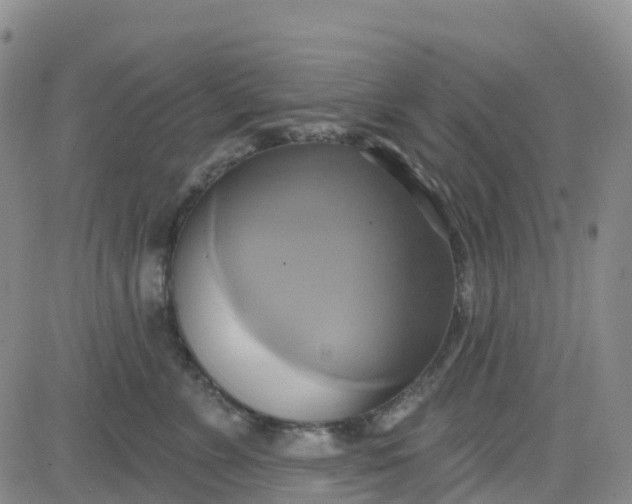 X0000084020715200703022057