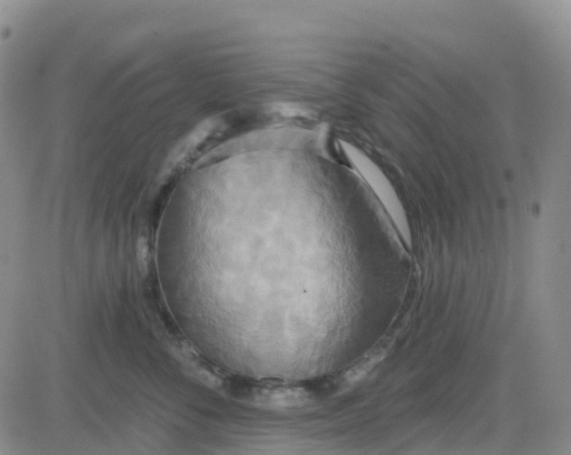 X0000084020716200703022057