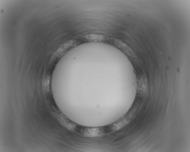 X0000084020717200703022057