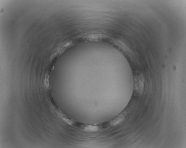 X0000084020718200703022057