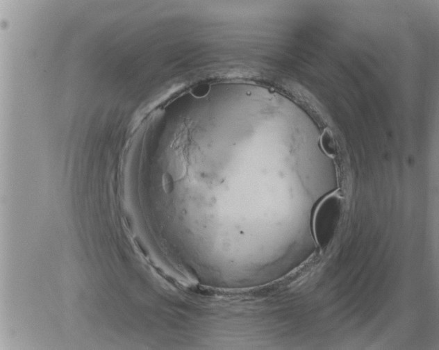 X0000084020721200703022056