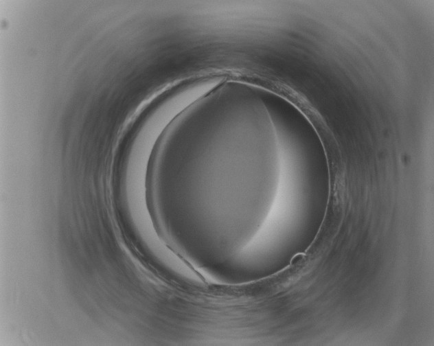 X0000084020722200703022056