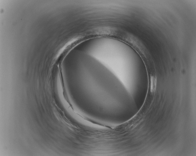 X0000084020723200703022056