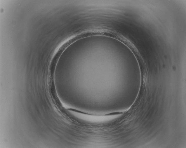 X0000084020724200703022056