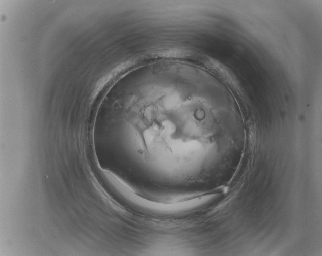 X0000084020725200703022056