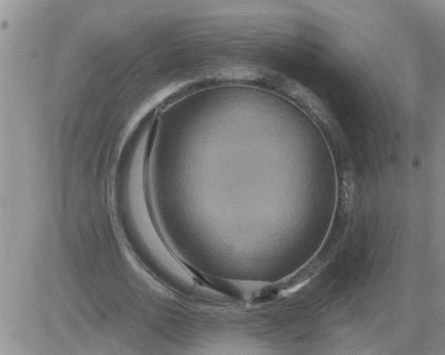 X0000084020726200703022056