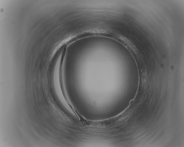 X0000084020727200703022056