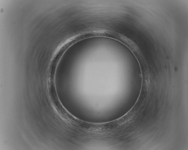 X0000084020728200703022056