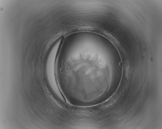 X0000084020729200703022056