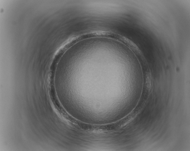 X0000084020730200703022056