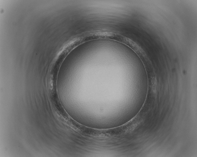 X0000084020731200703022056