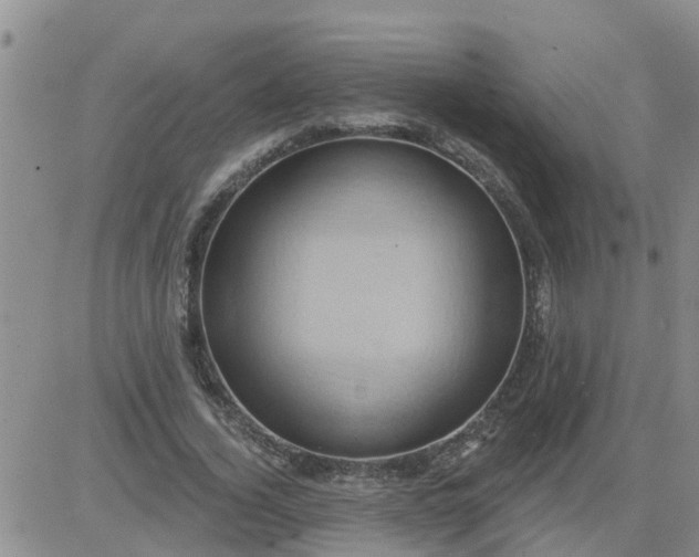 X0000084020732200703022056