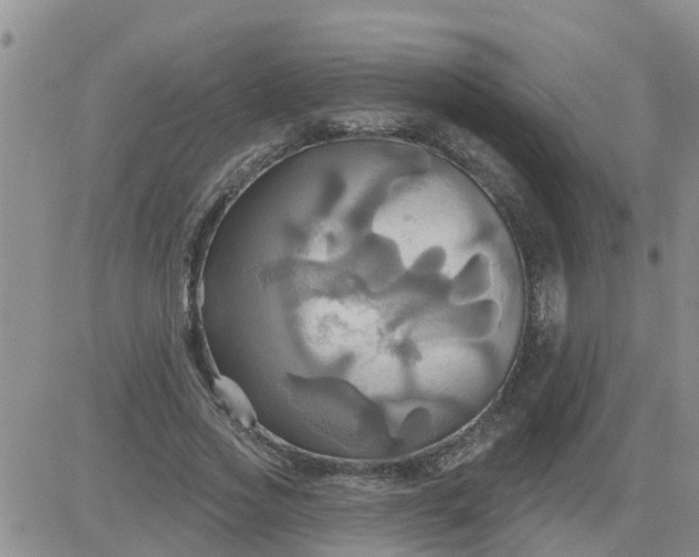 X0000084020733200703022056