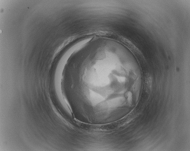 X0000084020734200703022056