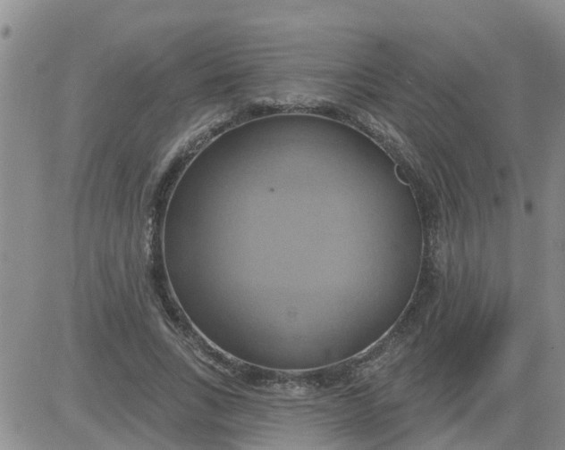 X0000084020735200703022056